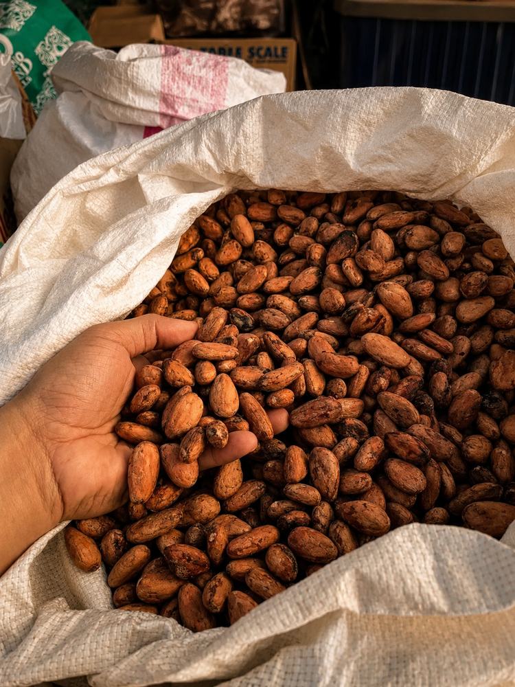 Sun-dried cocoa beans